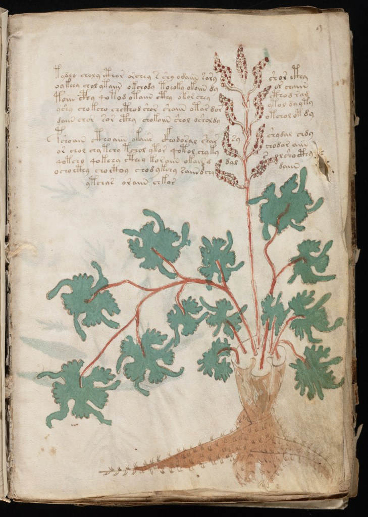 Voynich Manuscript - page 9r